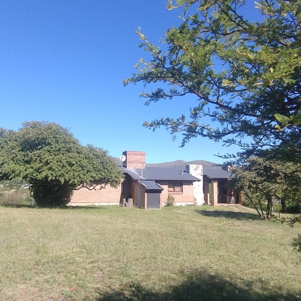 IMG_20241219_171055963