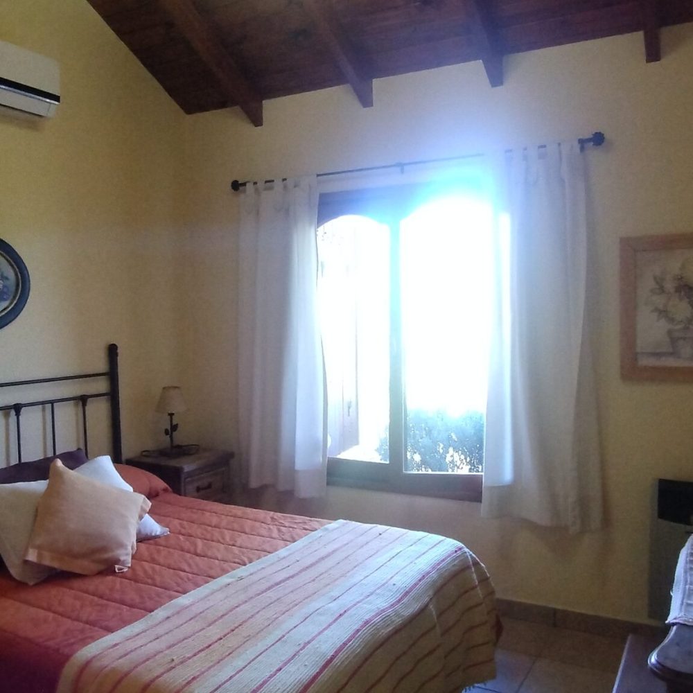 IMG_20241219_173133375