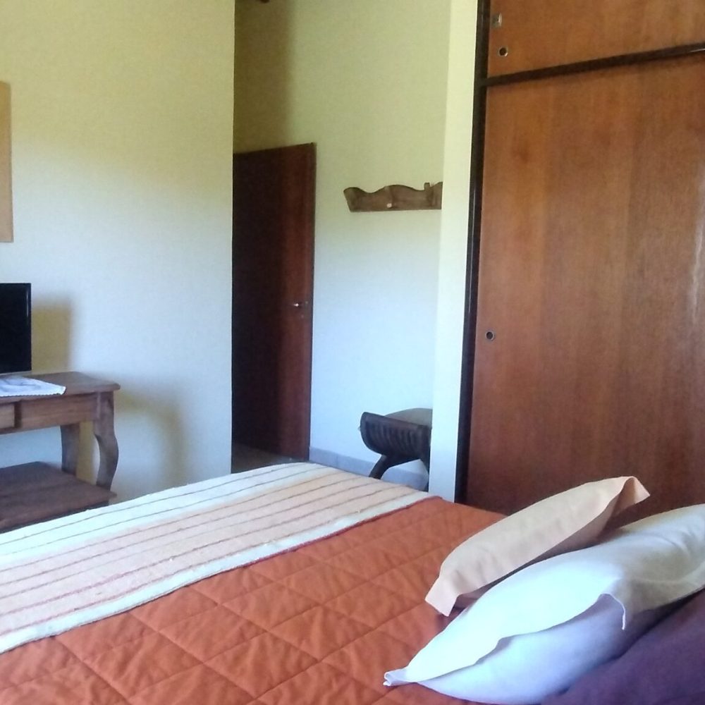 IMG_20241219_173234601