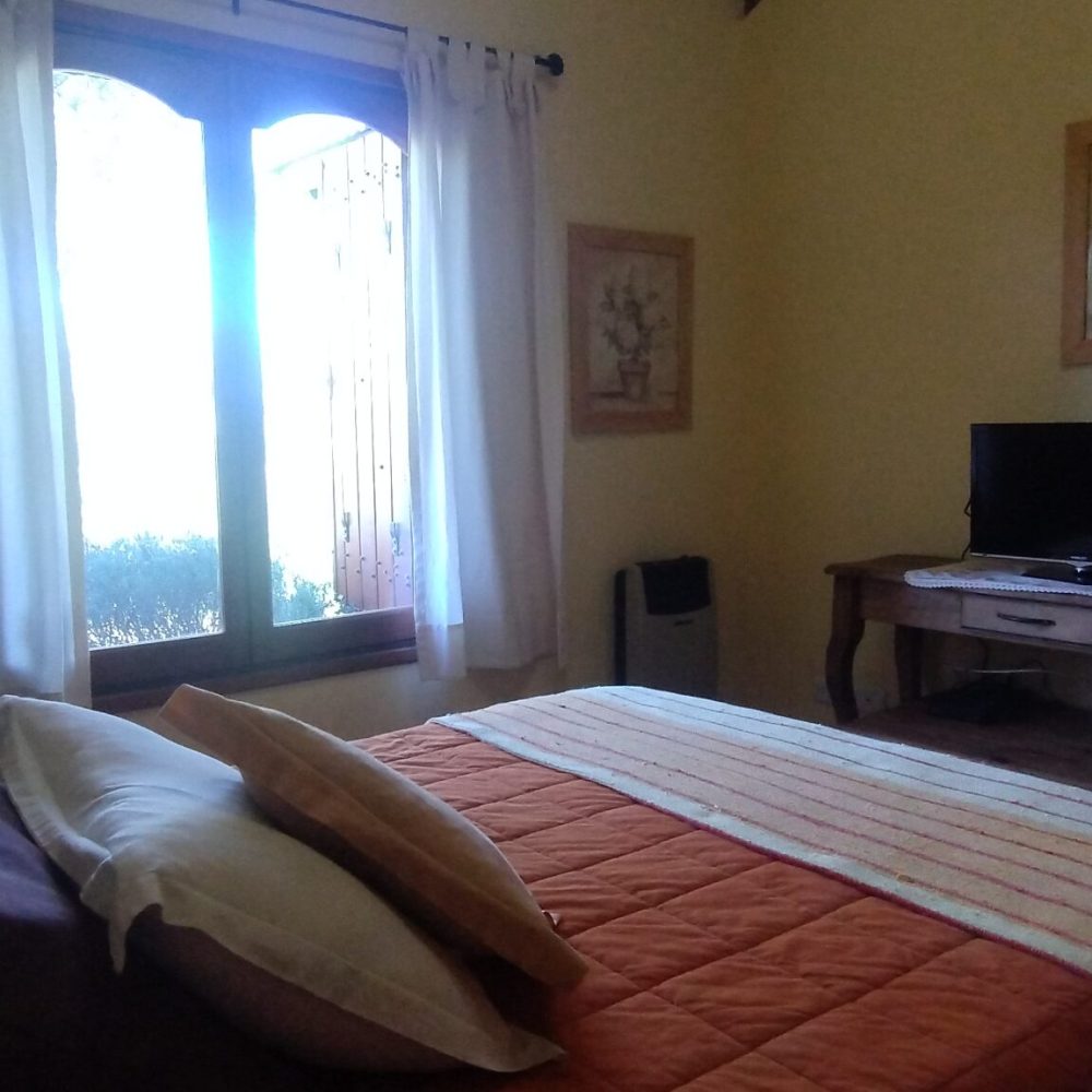 IMG_20241219_173251568