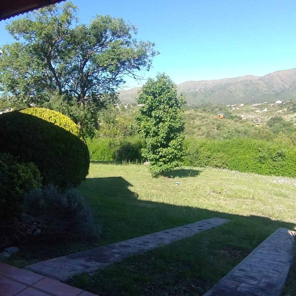 IMG_20241219_173419013