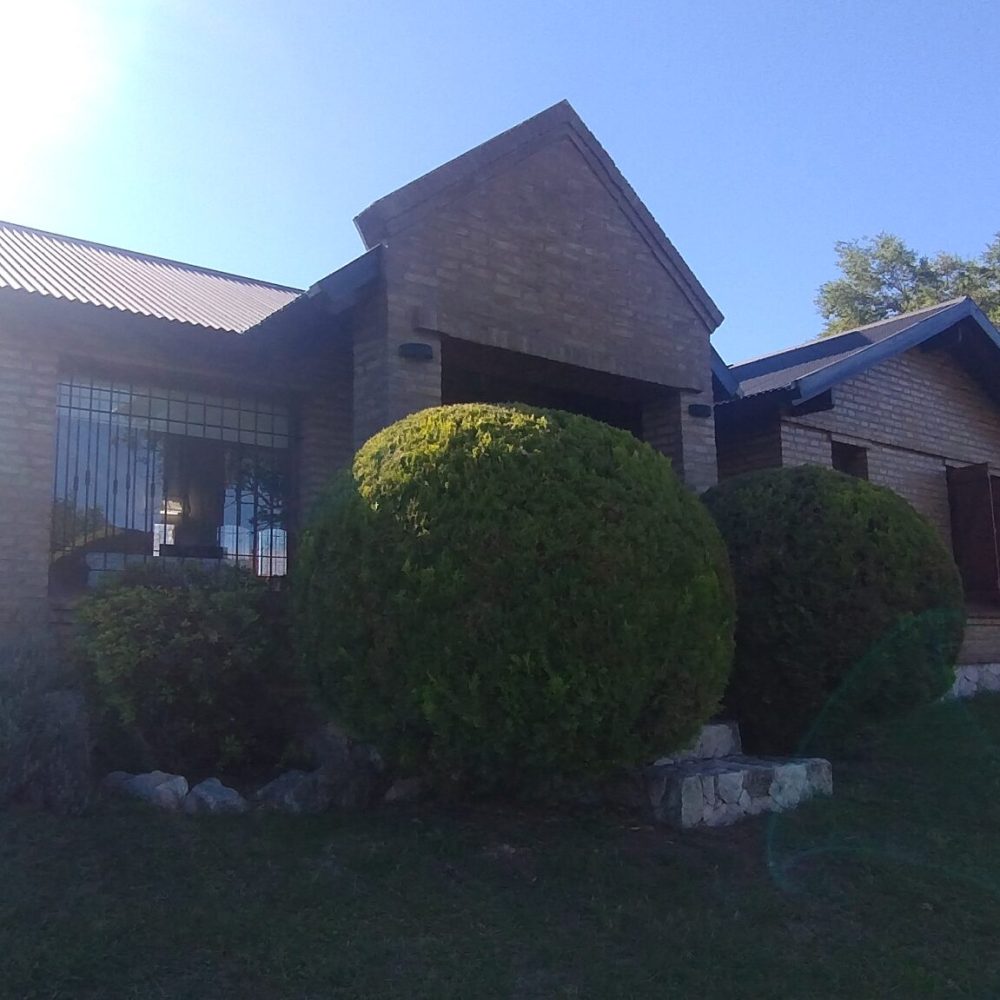 IMG_20241219_173438827