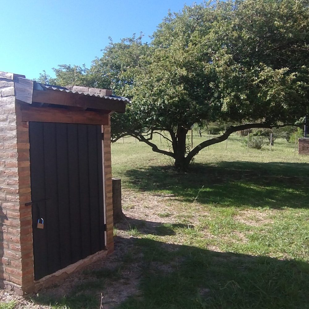 IMG_20241219_174615898