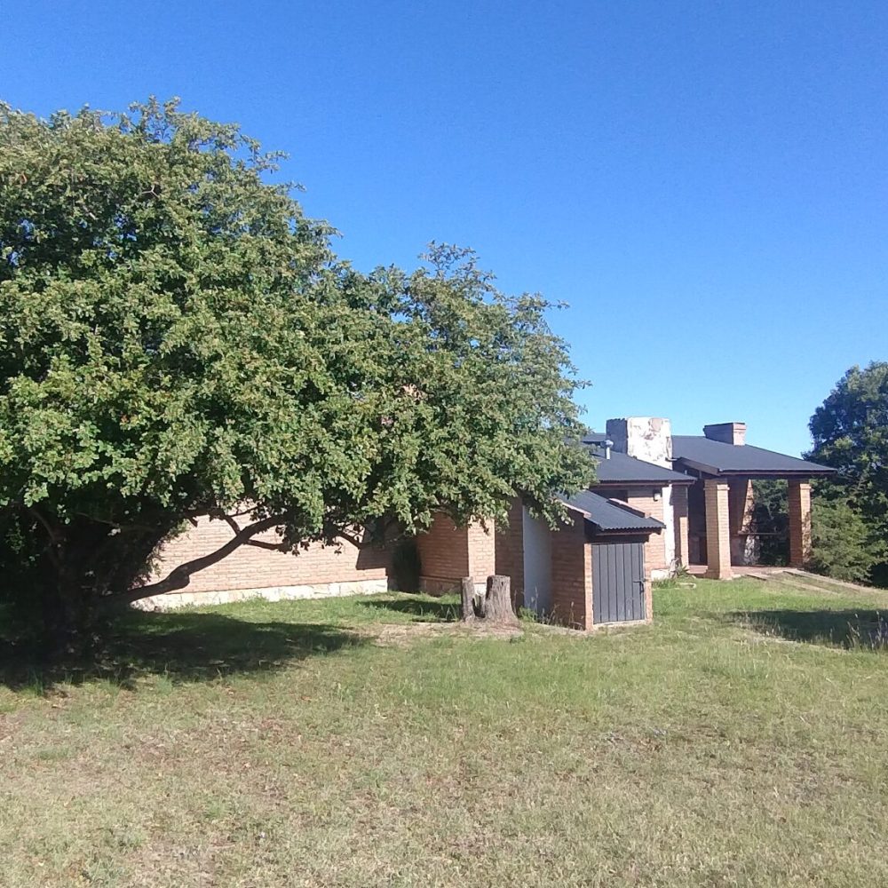 IMG_20241219_174712451