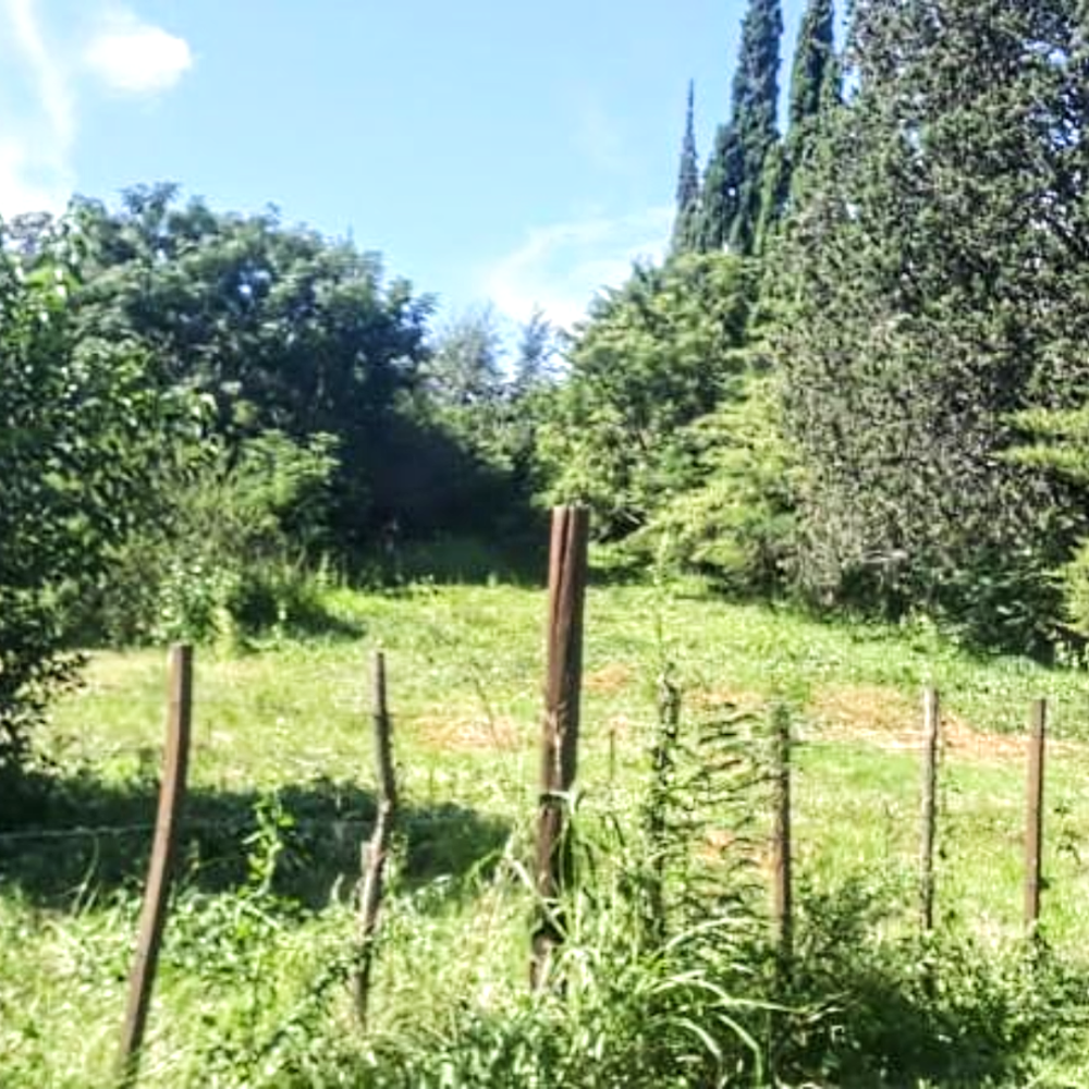 Screenshot_20230915-104734~2